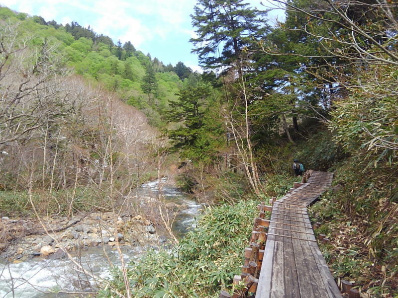 f:id:Aoituki:20190603010650j:plain