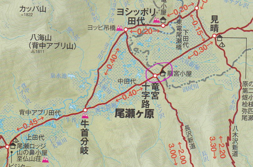 f:id:Aoituki:20190603011819j:plain f:id:Aoituki:20190603011819j:plain