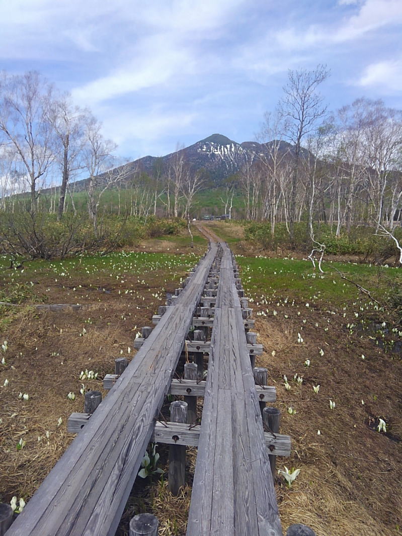 f:id:Aoituki:20190603011900j:plain