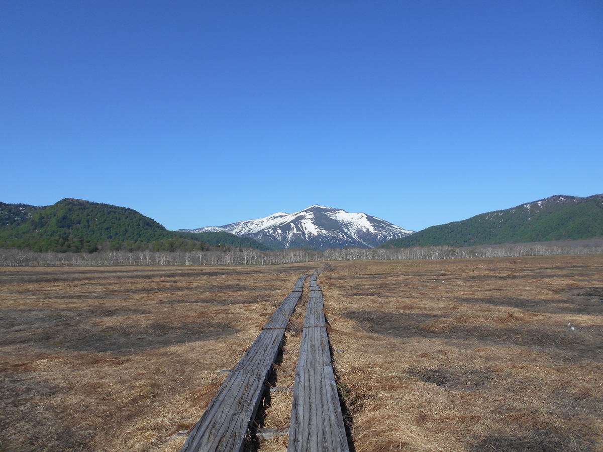 f:id:Aoituki:20190603013234j:plain f:id:Aoituki:20190603013234j:plain