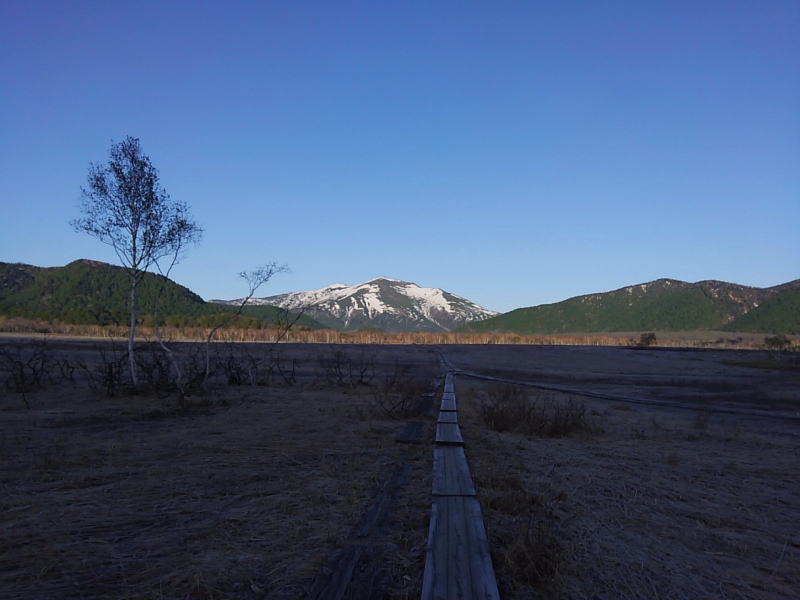 f:id:Aoituki:20190603013339j:plain f:id:Aoituki:20190603013339j:plain