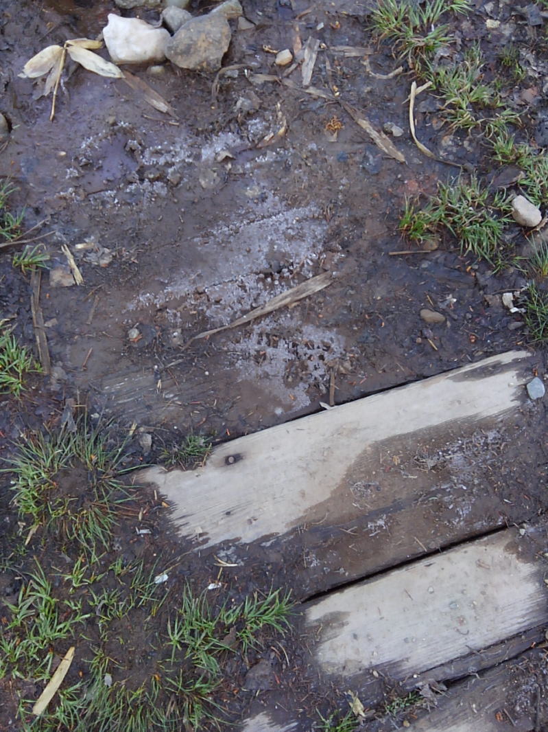 f:id:Aoituki:20190603013357j:plain f:id:Aoituki:20190603013357j:plain