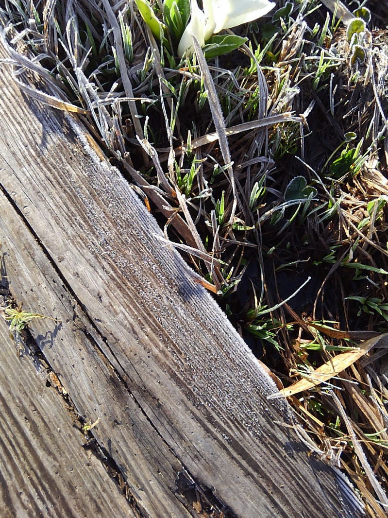 f:id:Aoituki:20190603013420j:plain f:id:Aoituki:20190603013420j:plain