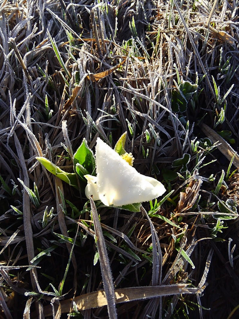 f:id:Aoituki:20190603013436j:plain f:id:Aoituki:20190603013436j:plain