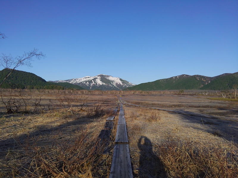 f:id:Aoituki:20190603013731j:plain f:id:Aoituki:20190603013731j:plain