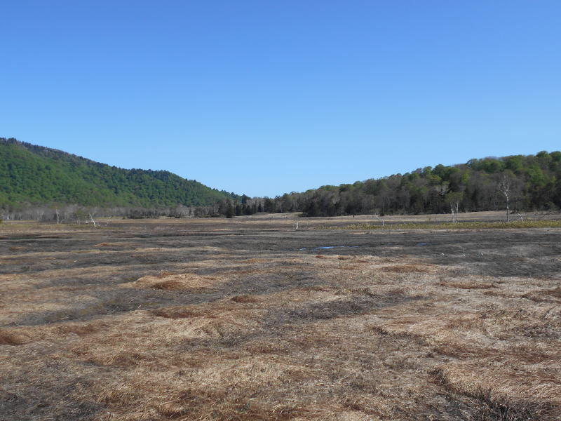 f:id:Aoituki:20190603013812j:plain f:id:Aoituki:20190603013812j:plain