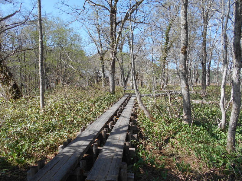 f:id:Aoituki:20190603014015j:plain f:id:Aoituki:20190603014015j:plain