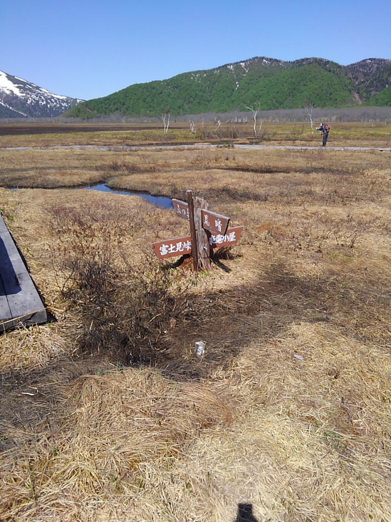 f:id:Aoituki:20190603014157j:plain f:id:Aoituki:20190603014157j:plain