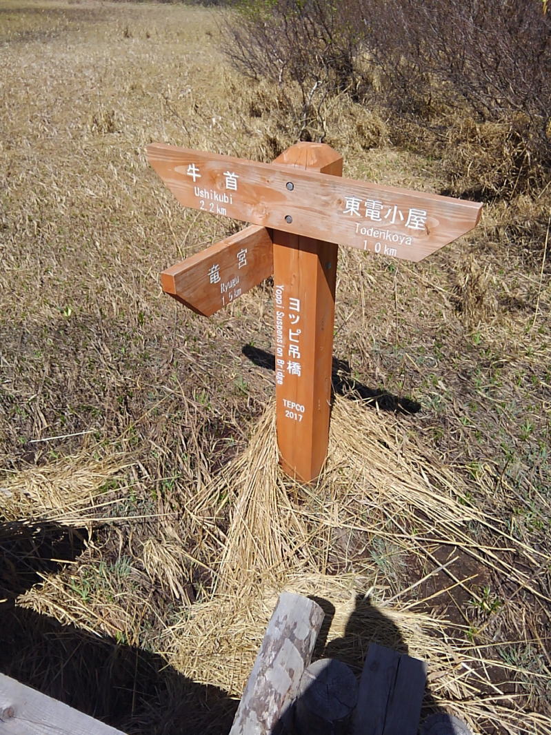 f:id:Aoituki:20190603014338j:plain f:id:Aoituki:20190603014338j:plain