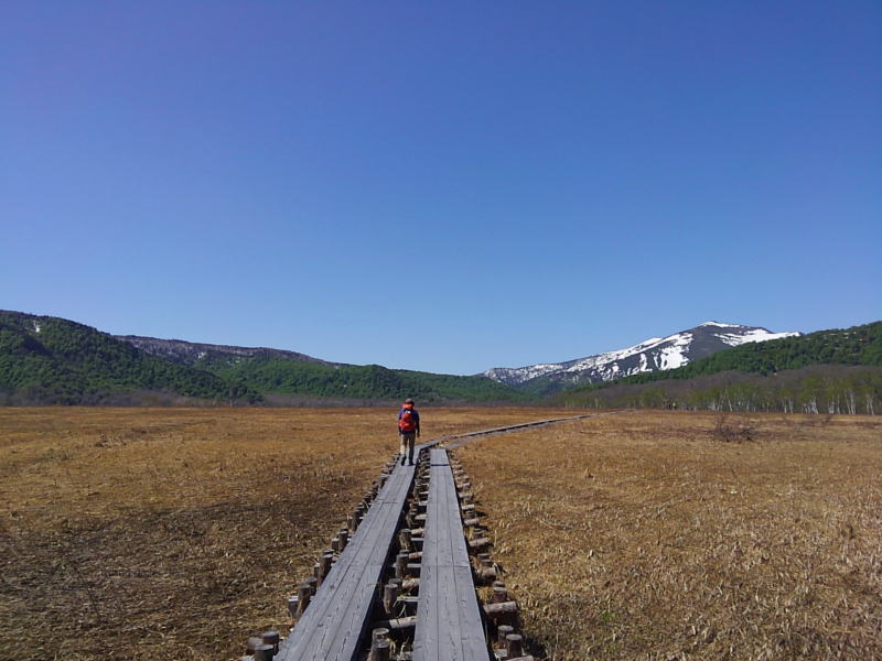 f:id:Aoituki:20190603014357j:plain f:id:Aoituki:20190603014357j:plain