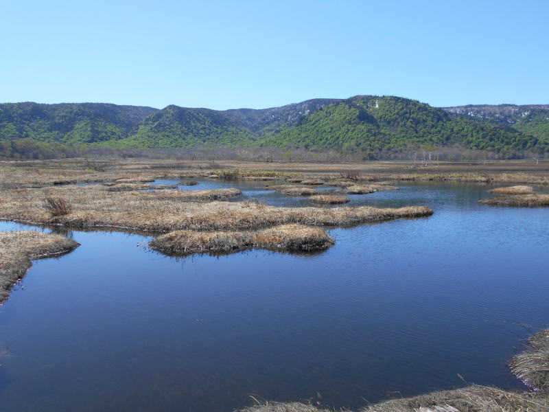 f:id:Aoituki:20190603014432j:plain f:id:Aoituki:20190603014432j:plain