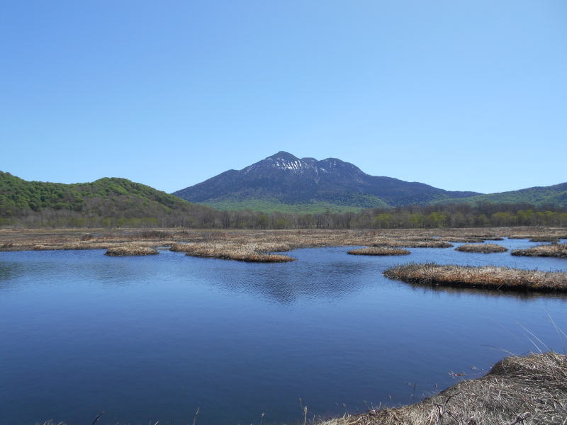 f:id:Aoituki:20190603014512j:plain f:id:Aoituki:20190603014512j:plain