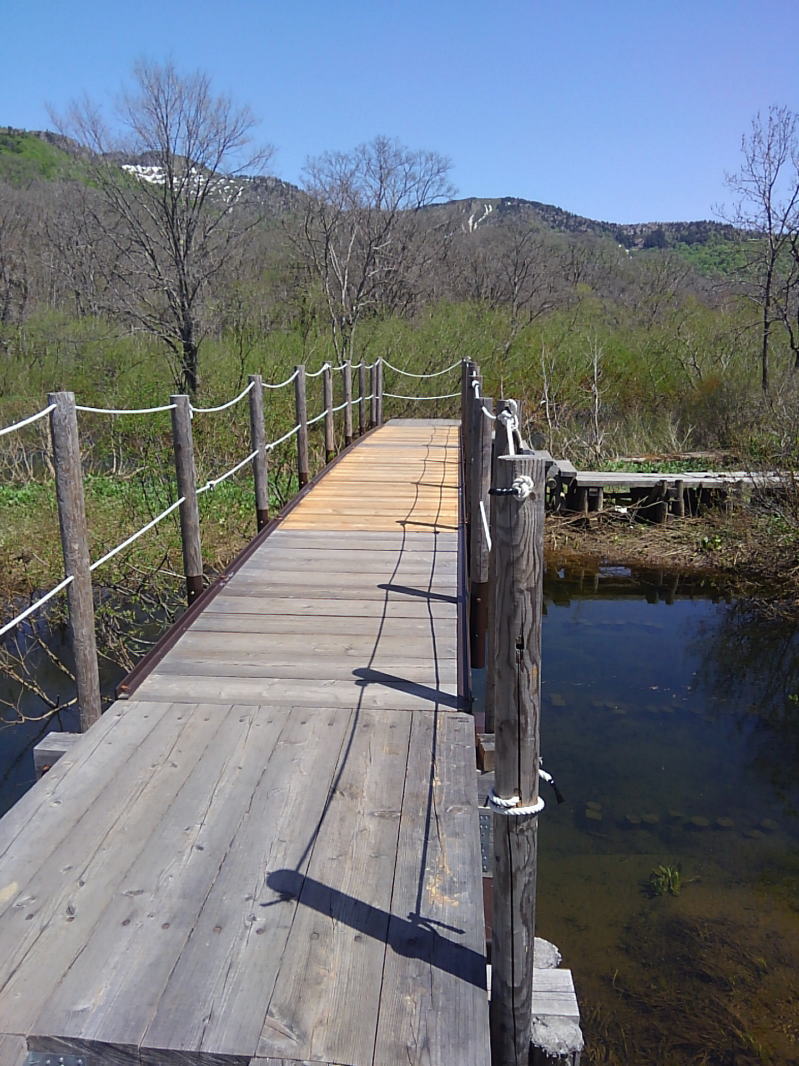 f:id:Aoituki:20190603014527j:plain f:id:Aoituki:20190603014527j:plain