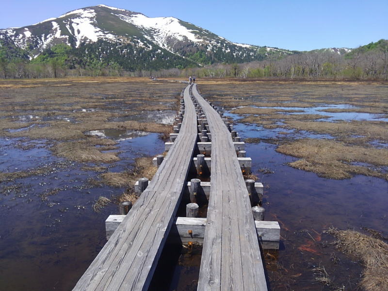 f:id:Aoituki:20190603014604j:plain f:id:Aoituki:20190603014604j:plain