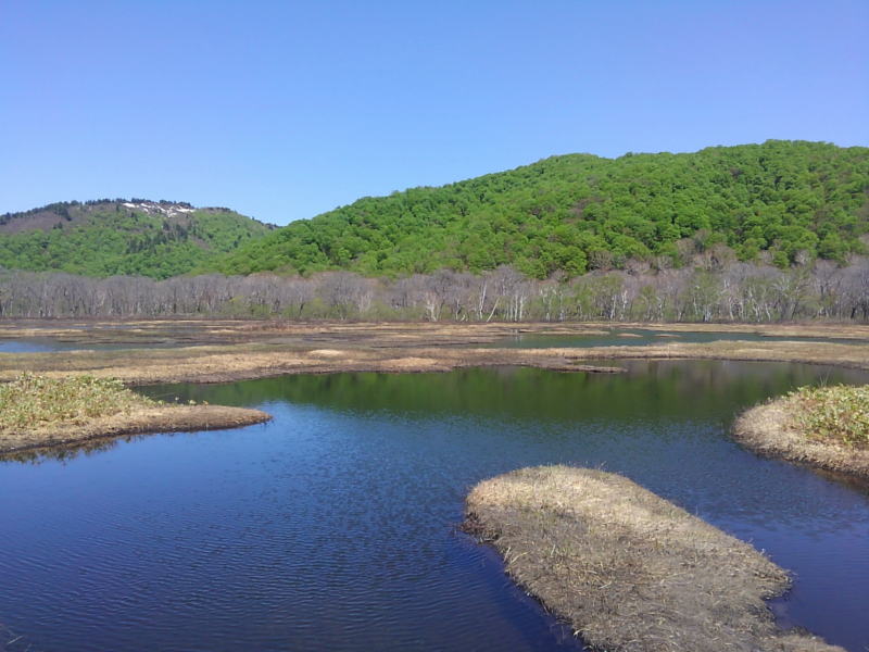 f:id:Aoituki:20190603014618j:plain f:id:Aoituki:20190603014618j:plain