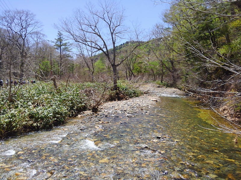 f:id:Aoituki:20190603014727j:plain f:id:Aoituki:20190603014727j:plain