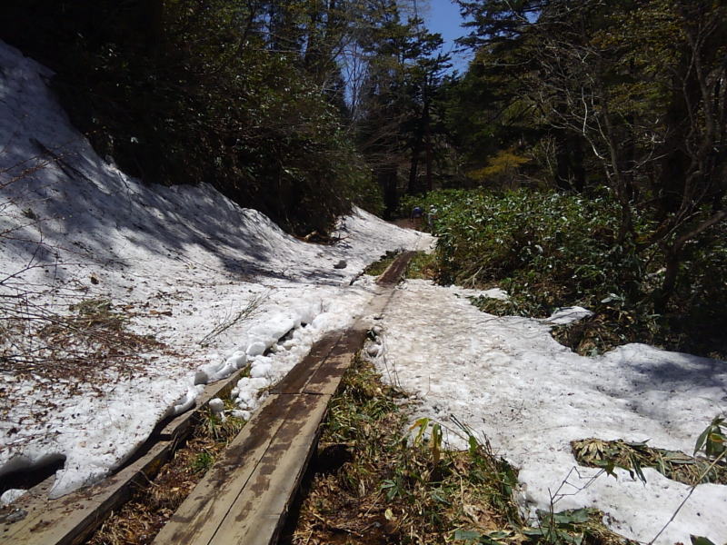 f:id:Aoituki:20190603014741j:plain f:id:Aoituki:20190603014741j:plain