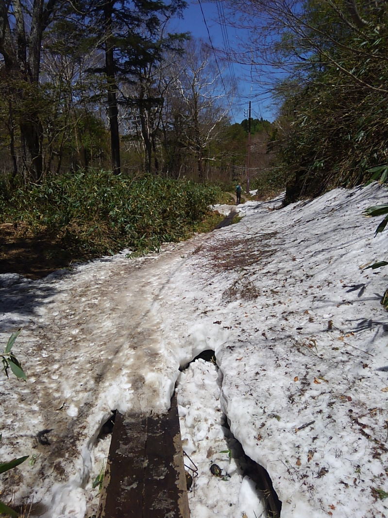 f:id:Aoituki:20190603014753j:plain f:id:Aoituki:20190603014753j:plain