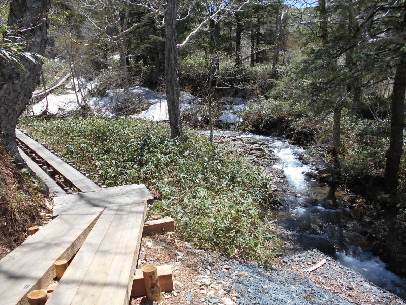 f:id:Aoituki:20190603014805j:plain f:id:Aoituki:20190603014805j:plain