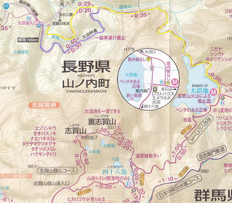 f:id:Aoituki:20190627215400j:plain