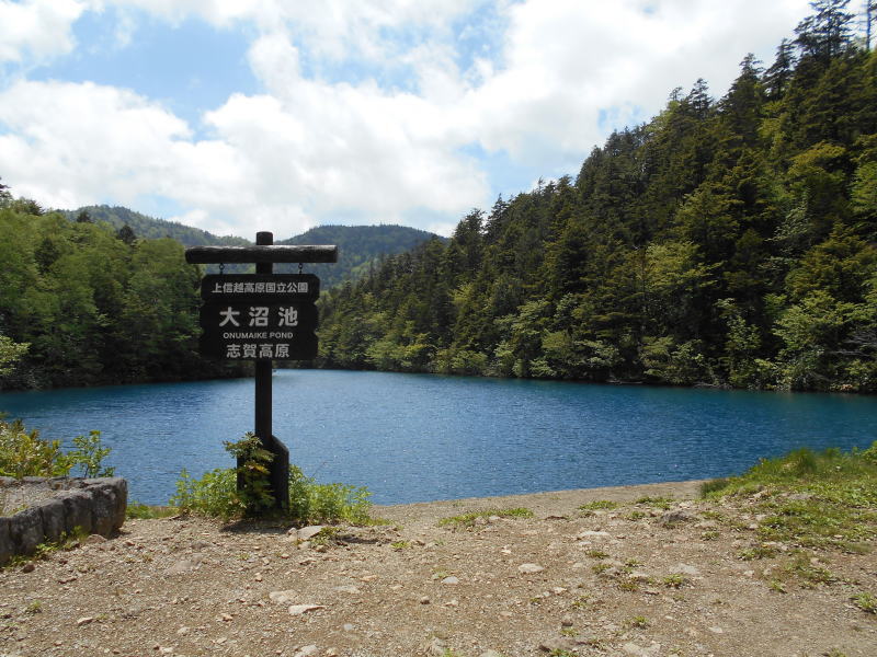 f:id:Aoituki:20190627220328j:plain