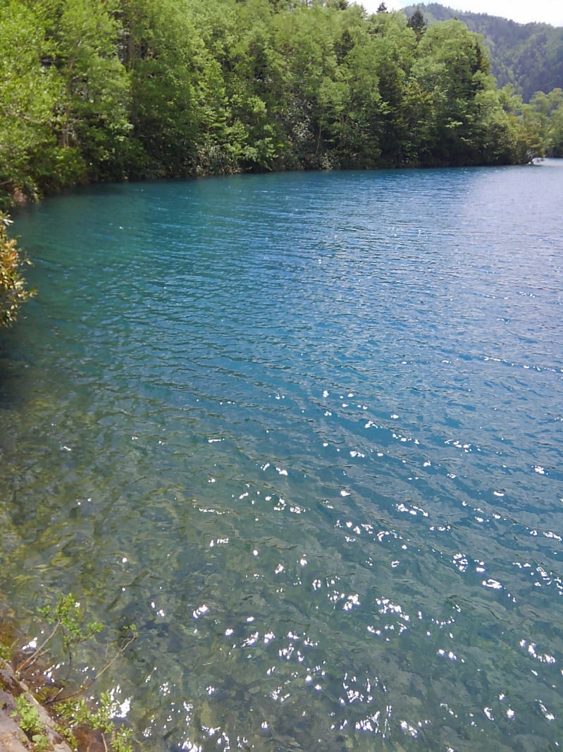 f:id:Aoituki:20190627220346j:plain