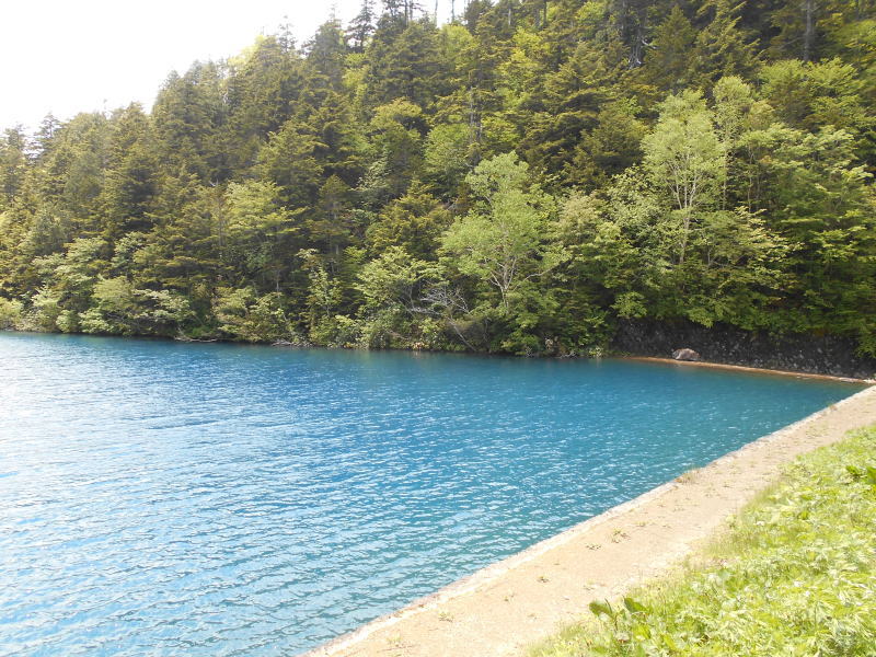 f:id:Aoituki:20190627220404j:plain