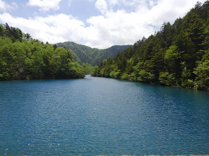f:id:Aoituki:20190627220419j:plain