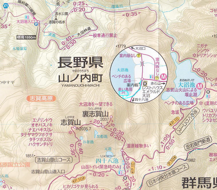 f:id:Aoituki:20190627221508j:plain