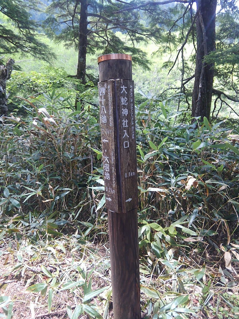 f:id:Aoituki:20190627221534j:plain