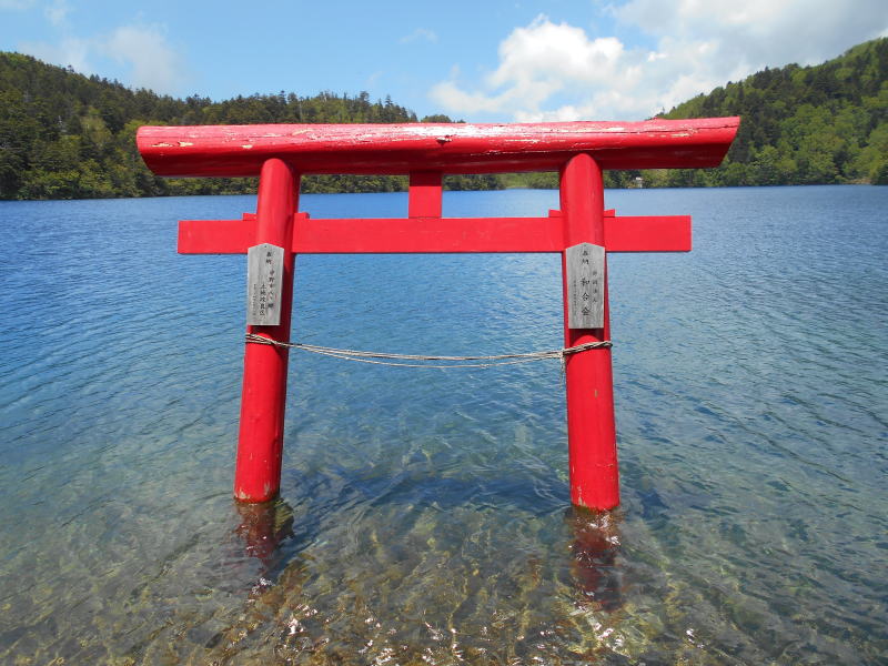 f:id:Aoituki:20190627221834j:plain