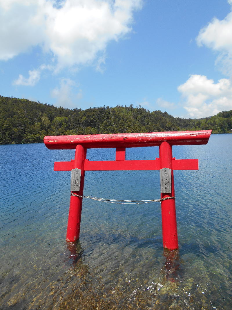 f:id:Aoituki:20190627221855j:plain