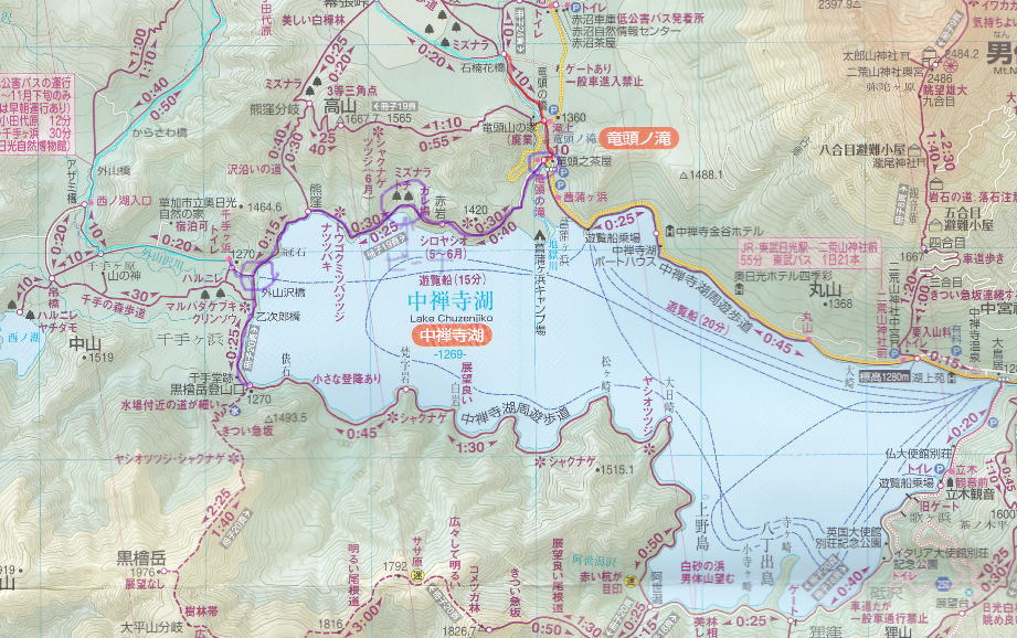 f:id:Aoituki:20190728161717j:plain f:id:Aoituki:20190728161717j:plain