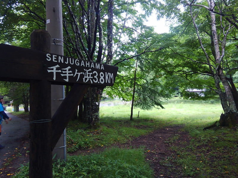 f:id:Aoituki:20190728161811j:plain f:id:Aoituki:20190728161811j:plain