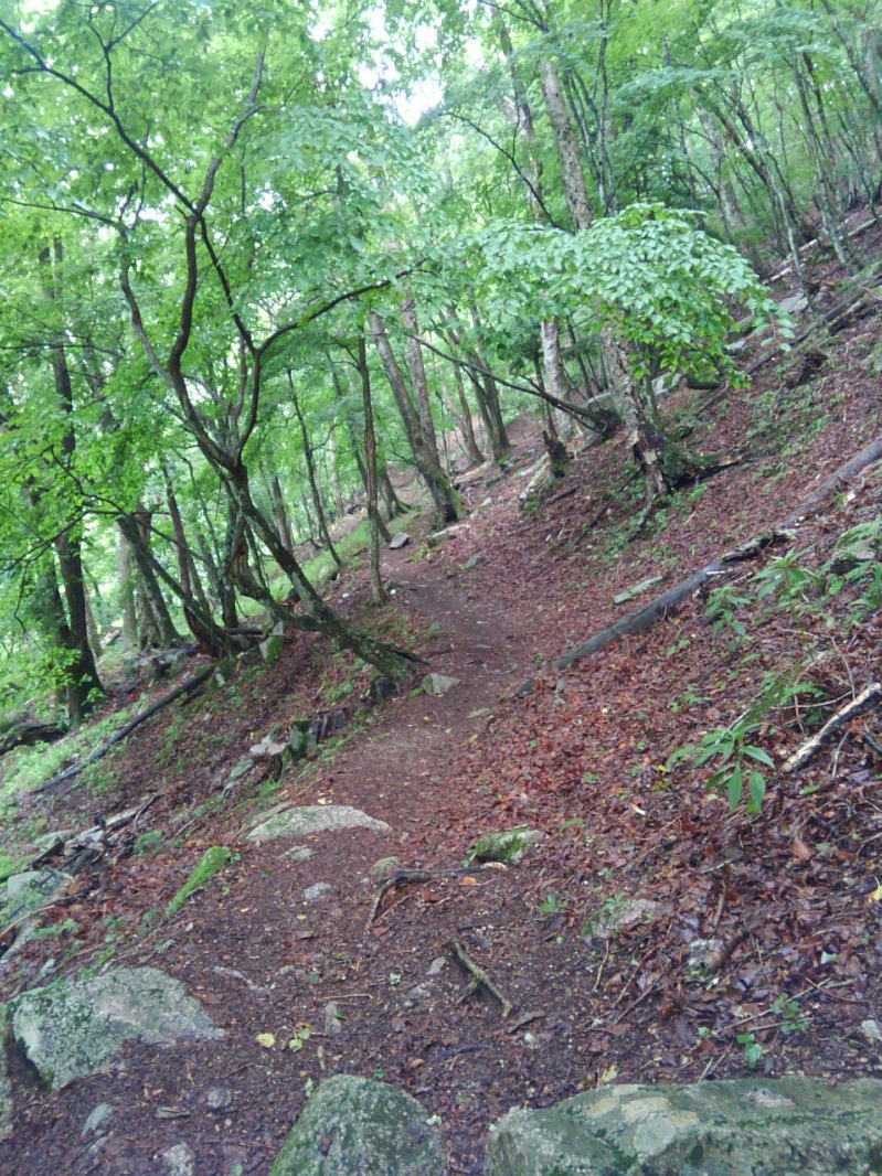 f:id:Aoituki:20190728161856j:plain f:id:Aoituki:20190728161856j:plain