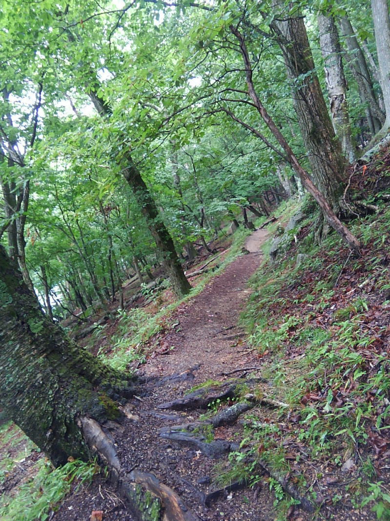 f:id:Aoituki:20190728161913j:plain f:id:Aoituki:20190728161913j:plain