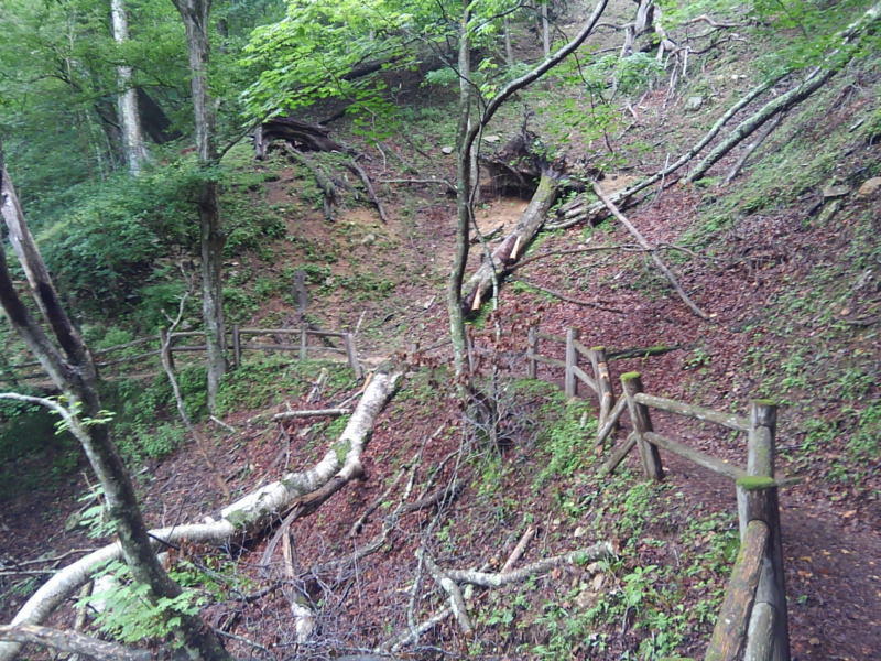 f:id:Aoituki:20190728161941j:plain f:id:Aoituki:20190728161941j:plain