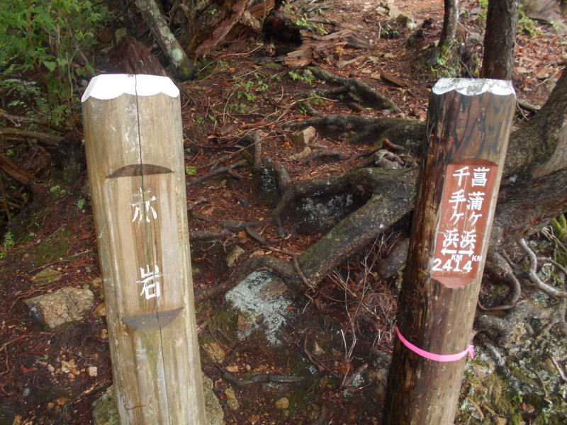 f:id:Aoituki:20190728161952j:plain f:id:Aoituki:20190728161952j:plain