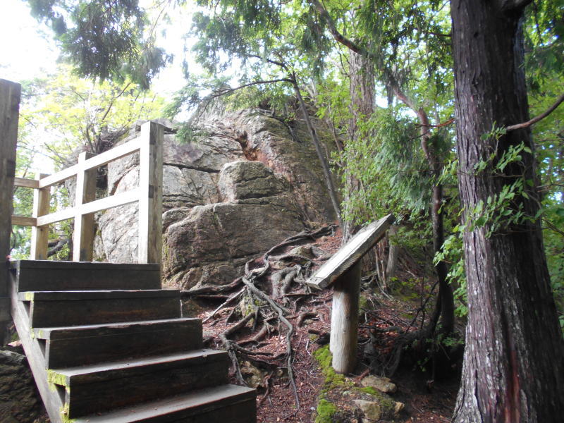 f:id:Aoituki:20190728162026j:plain f:id:Aoituki:20190728162026j:plain