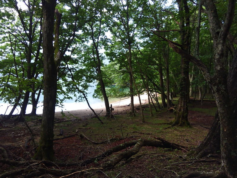 f:id:Aoituki:20190728162127j:plain f:id:Aoituki:20190728162127j:plain