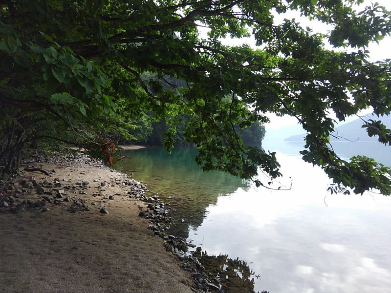 f:id:Aoituki:20190728162308j:plain f:id:Aoituki:20190728162308j:plain