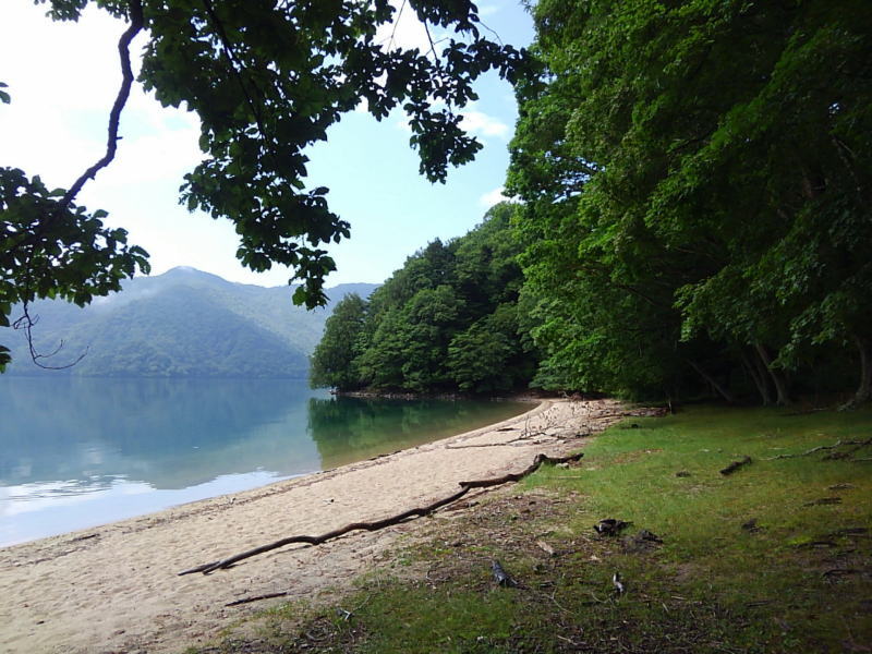 f:id:Aoituki:20190728162420j:plain f:id:Aoituki:20190728162420j:plain