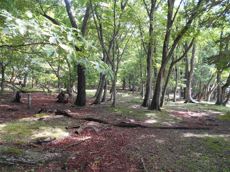 f:id:Aoituki:20190728162454j:plain f:id:Aoituki:20190728162454j:plain