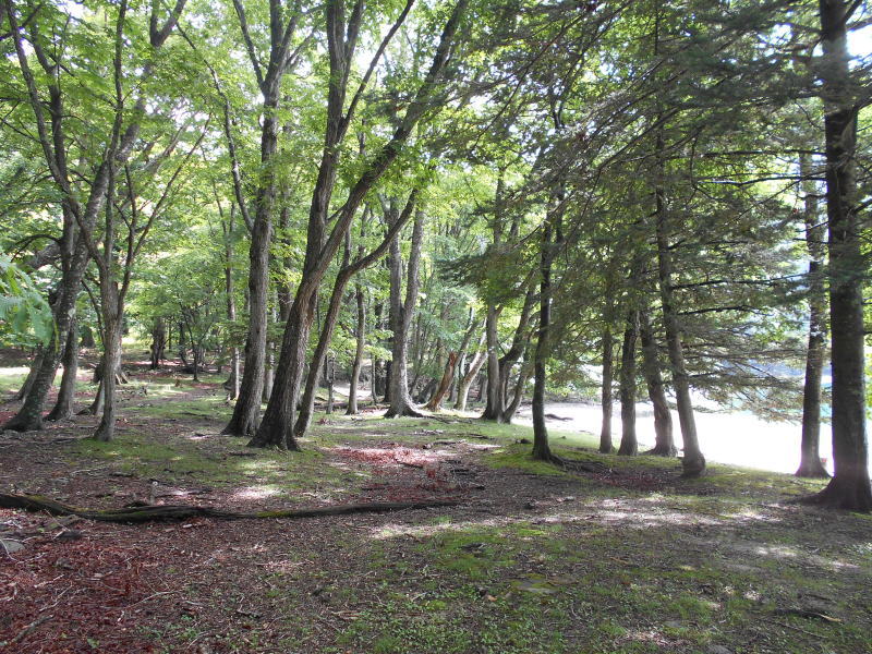 f:id:Aoituki:20190728162521j:plain f:id:Aoituki:20190728162521j:plain