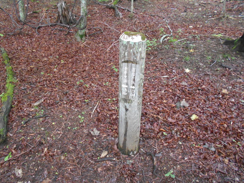 f:id:Aoituki:20190728162542j:plain f:id:Aoituki:20190728162542j:plain