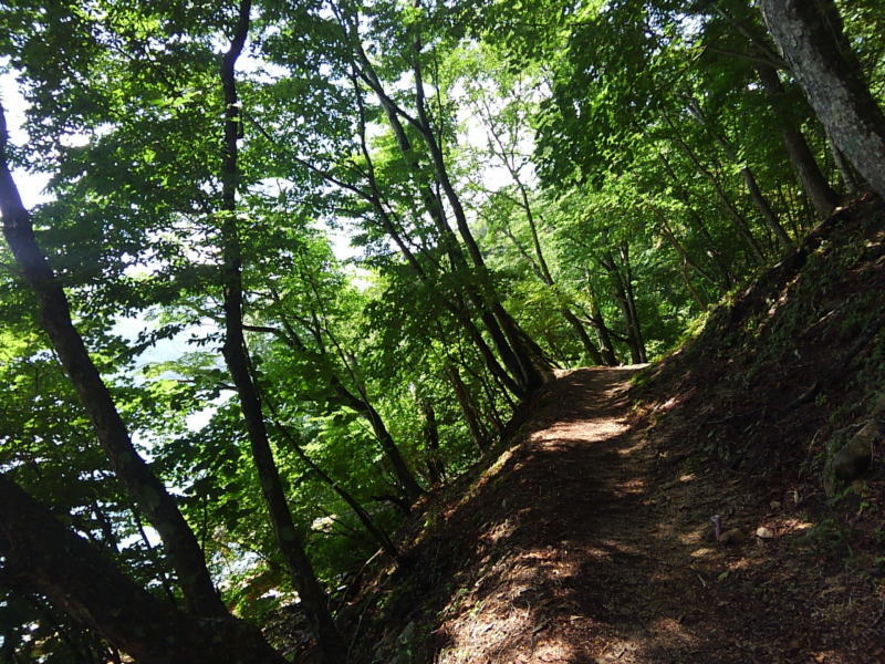 f:id:Aoituki:20190728162622j:plain f:id:Aoituki:20190728162622j:plain