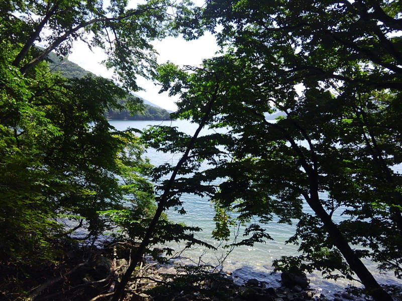 f:id:Aoituki:20190728162640j:plain f:id:Aoituki:20190728162640j:plain