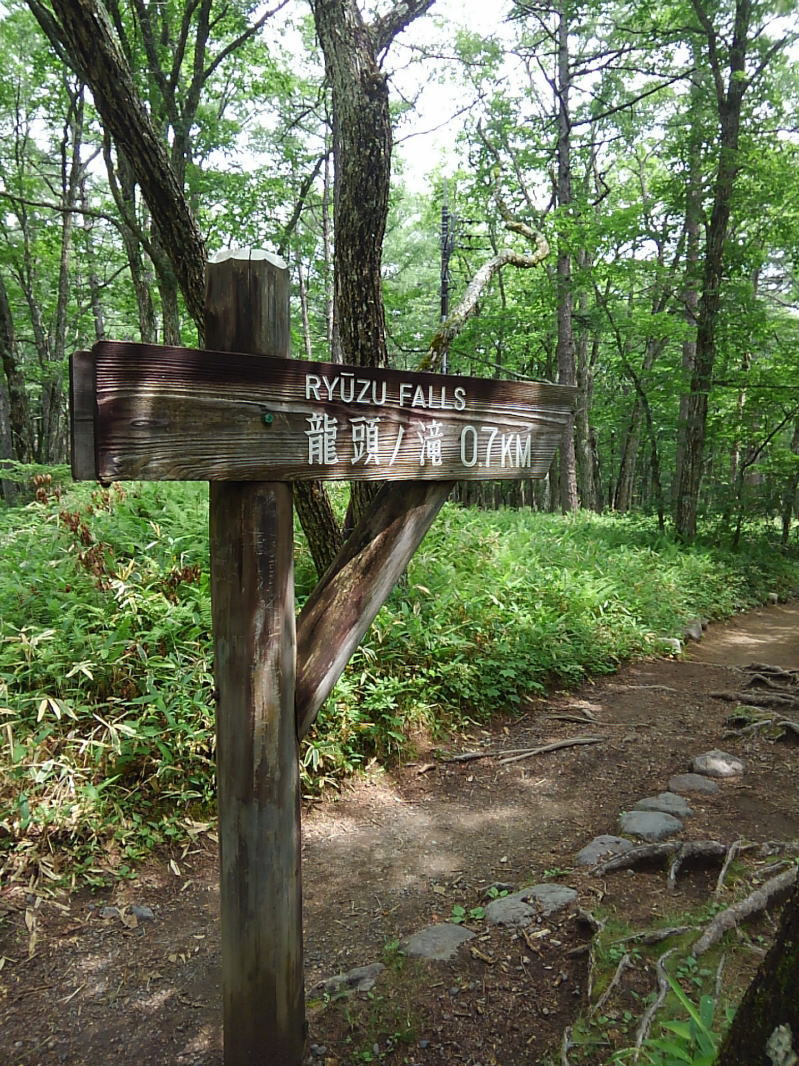 f:id:Aoituki:20190728162805j:plain f:id:Aoituki:20190728162805j:plain