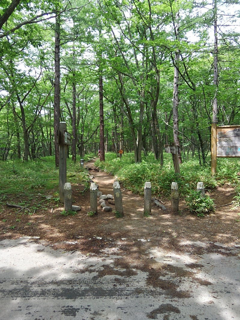 f:id:Aoituki:20190728162825j:plain f:id:Aoituki:20190728162825j:plain