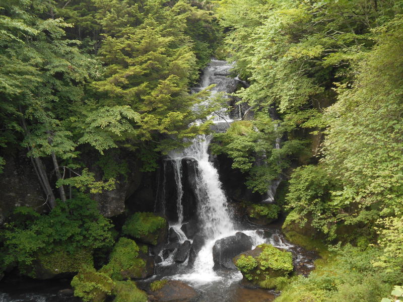 f:id:Aoituki:20190728163002j:plain f:id:Aoituki:20190728163002j:plain